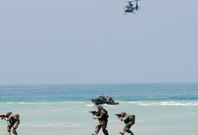 יחידת אריות הים, צבא ארצות הברית (צילום:  רויטרס)