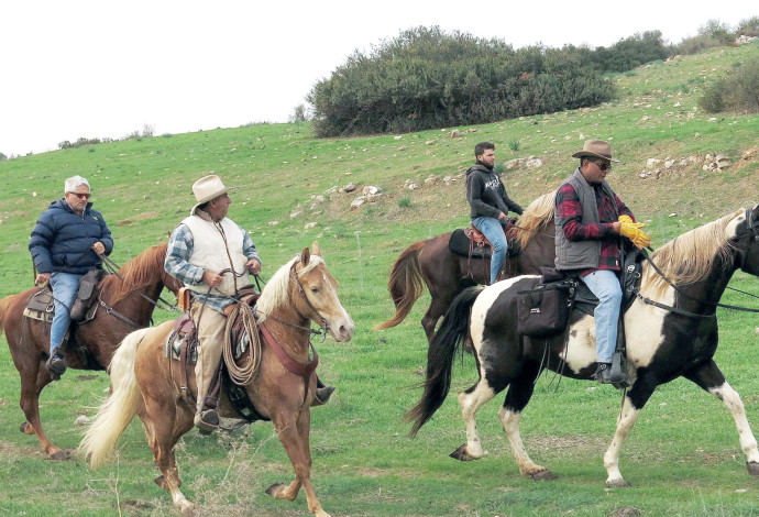 רוכבי סוסים (צילום:  אריאל בשור)