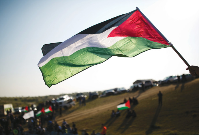 דגלי פלסטין באירועי יום האדמה באום אל־חיראן, מרץ 2016 (צילום:  קורינה קרן פלאש 90)