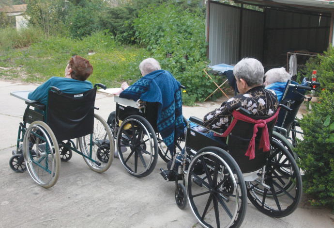 קשישים סיעודיים על כסאות גלגלים (למצולמים אין קשר לכתבה, צילום: יוסי אלוני)