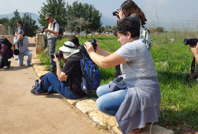 סדנת מצלמים בגן לאומי ארבל (צילום:  ניר נדיבי, רשות הטבע והגנים)