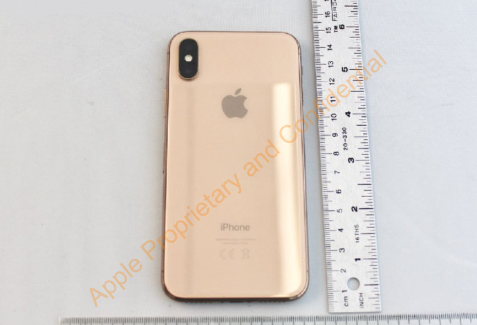 אייפון בצבע זהב (צילום:  מתוך אתר FCC)