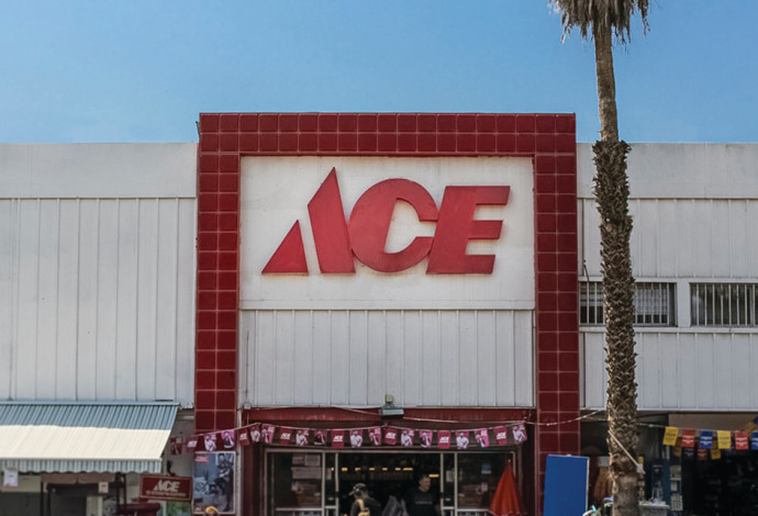 חנות של רשת ACE, ארכיון (צילום:  יח"צ)