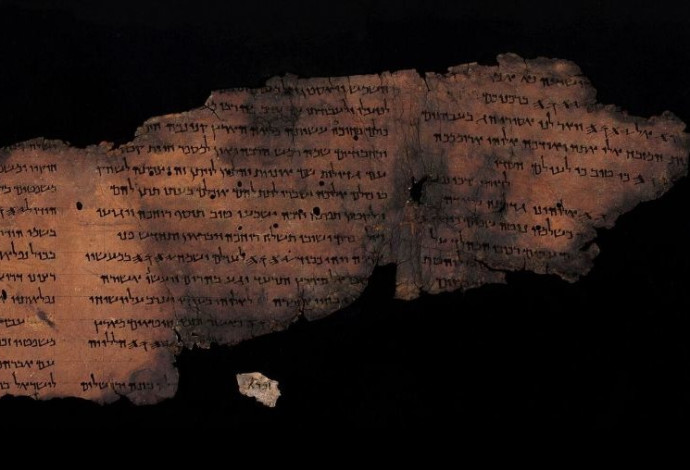 קטעי מגילות גנוזות (צילום:  שי הלוי, רשות העתיקות)