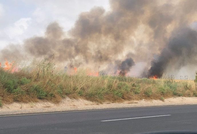 שריפה בשדה בעוטף עזה שנגרמה מבלון תבערה (צילום:  דוברות מועצה אזורית שער הנגב)
