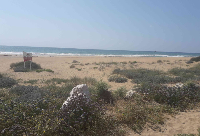 חוף כזיב (צילום:  גידי בטלהיים, המשרד להגנת הסביבה)
