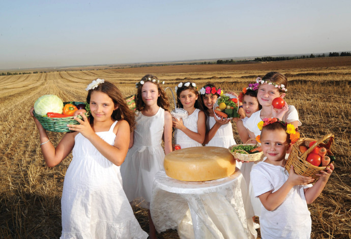 שבועות בצפון הנגב (צילום:  חיים הורנשטיין)