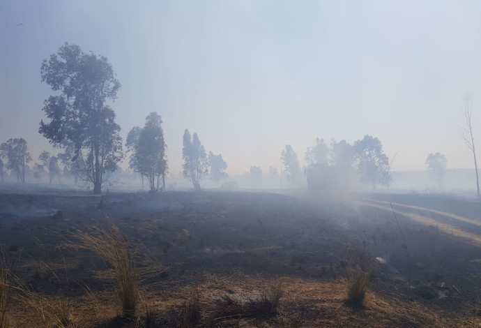 שריפה ביער בארי (צילום:  דני בן דוד, יערן קק״ל)