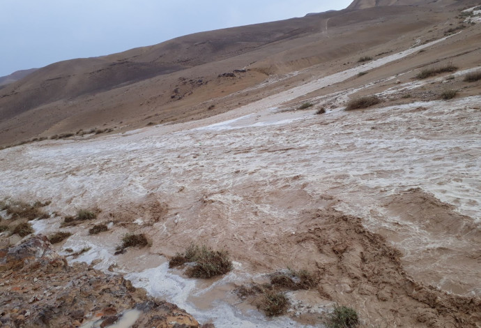 שיטפון בנחל חצצון במדבר יהודה (צילום:  דודו זכאי, רשות הטבע והגנים)