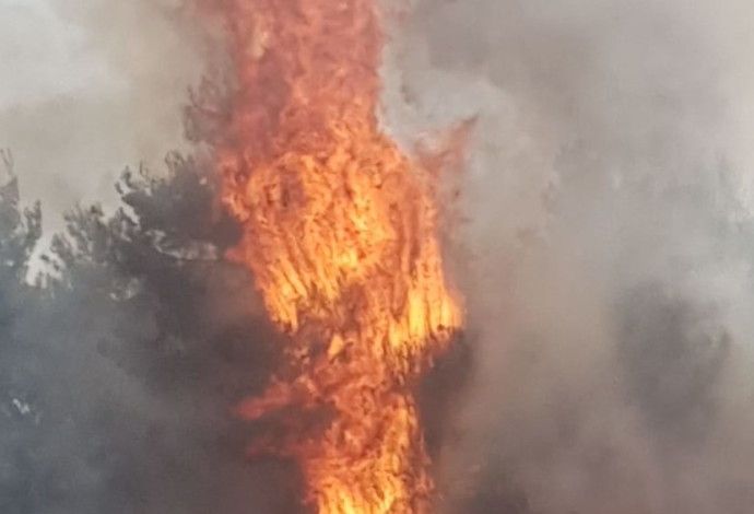 שריפה בעוטף עזה - טרור העפיפונים (צילום:  טל לב רם)