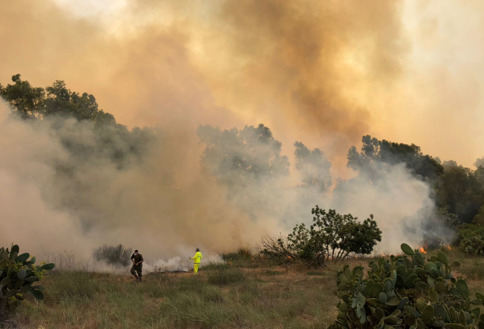 שריפה בעוטף עזה (צילום:  תומר עופרי, רשות הטבע והגנים)