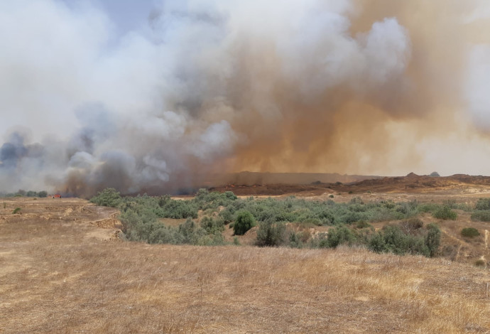 שריפה כתוצאה מבלון תבערה ביער כיסופים (צילום:  משה ברוכי, קק"ל)