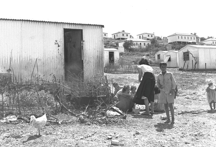 שנת 1952 עולים מעיראק  (צילום:  דוד אלדן- לע"מ)