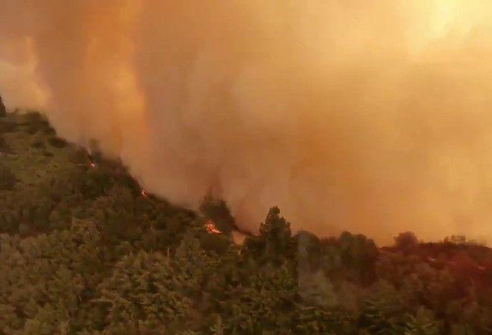 שריפת ענק בקליפורניה (צילום:  רויטרס)