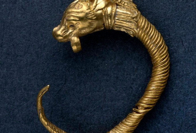 עגיל זהב הלניסטי (צילום:  קלרה עמית, באדיבות רשות העתיקות)