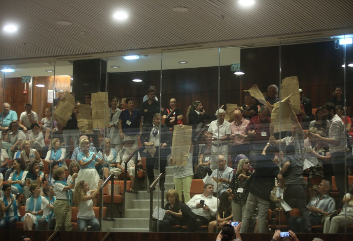 מחאה במליאת הכנסת בדיון על חוק הלאום (צילום:  מרק ישראל סלם)