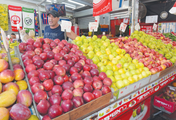 תפוחים לראש השנה, אילוסטרציה (צילום:  אבשלום ששוני)