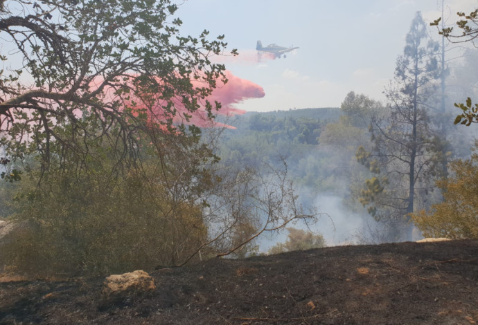 אחת השריפות ביער בארי (צילום:  יאסר עוקבי)
