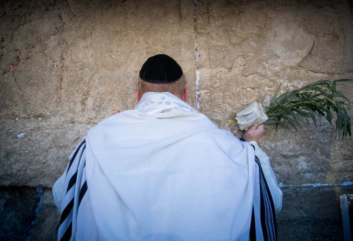 תפילה בכותל (צילום:  יונתן זינדל, פלאש 90)
