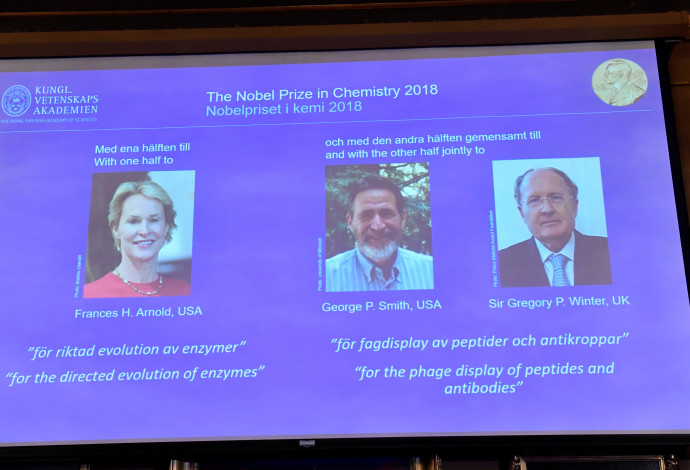 הזוכים בפרס נובל לכימיה לשנת 2018 (צילום:  רויטרס)