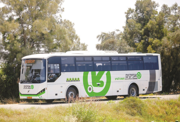 אוטובוס של חברת אפיקים (צילום:  יח"צ)