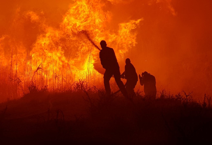 שריפה גדולה ביער שוקדה (צילום:  משה ברוכי, קק"ל)