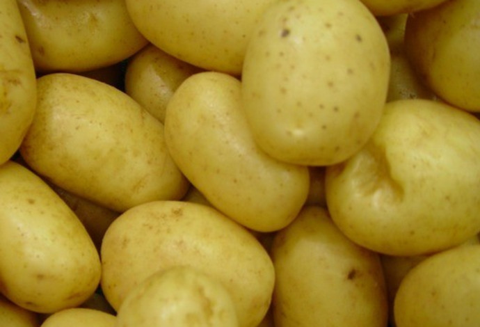 תפוחי אדמה (צילום:  Pixabay)
