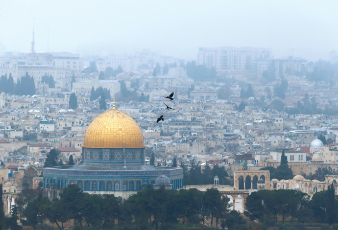 הר הבית (צילום:  רויטרס)