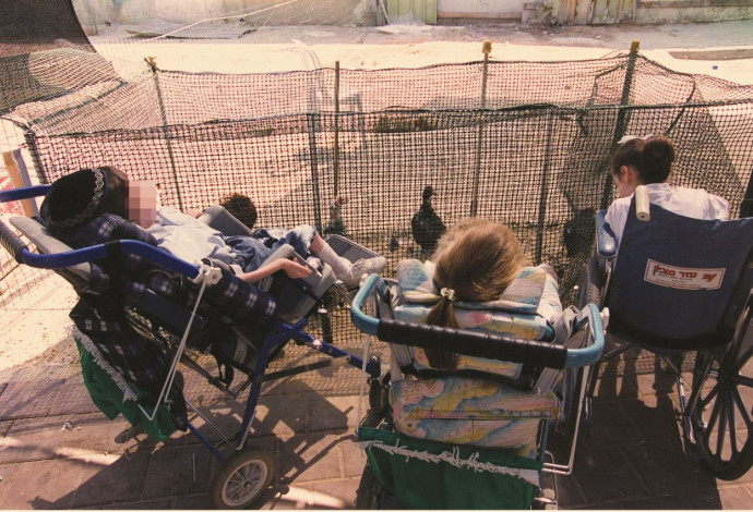 ילדים בעלי מוגבלויות (צילום:  משה מילנר, לע"מ)