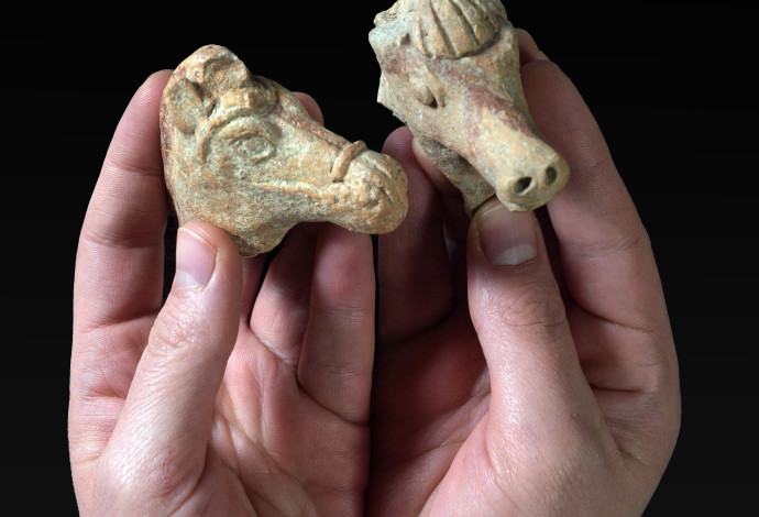 צלמיות הסוס שהתגלו לאחרונה (צילום:  קלרה עמית, רשות העתיקות)
