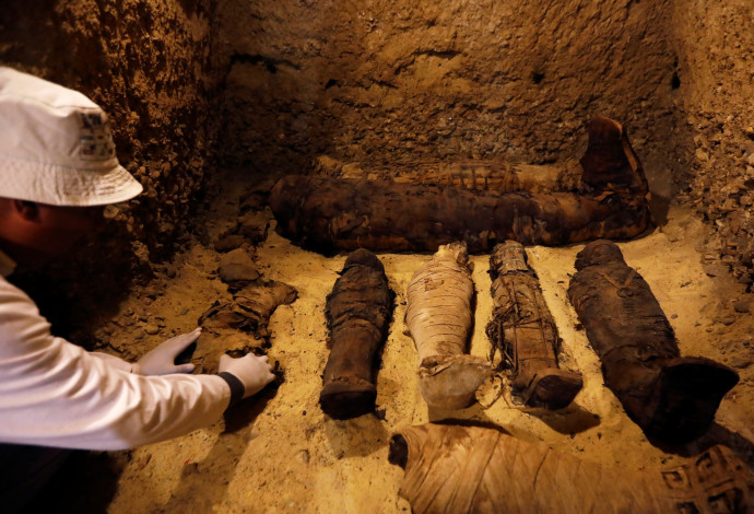 מומיות שהתגלו במצרים (צילום:  רויטרס)