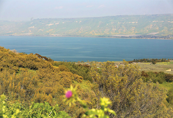 המועצה האזורית עמק הירדן (צילום:  אריאל בשור)