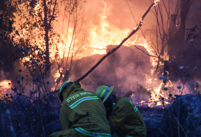 שריפות ליד קיבוץ הראל (צילום:  יונתן זינדל, פלאש 90)