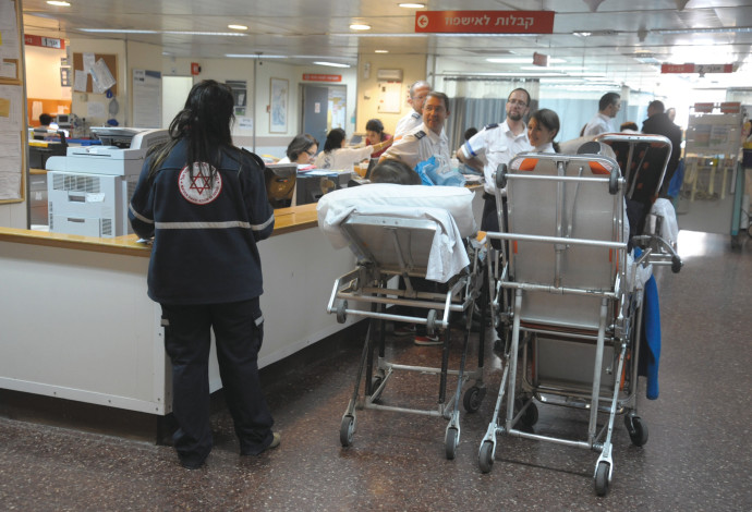 בית החולים שיבא   (צילום:  אבשלום ששוני)