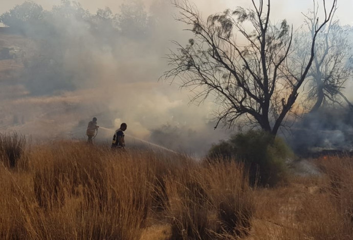 שריפה ביער בארי (צילום:  משה ברוכי, קק"ל)