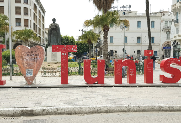 היתה פעם מרכז העולם. העיר טוניס (צילום:  גדעון אוזן)