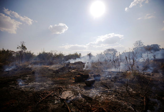 שריפות קשות באמזונס בברזיל (צילום:  רויטרס)