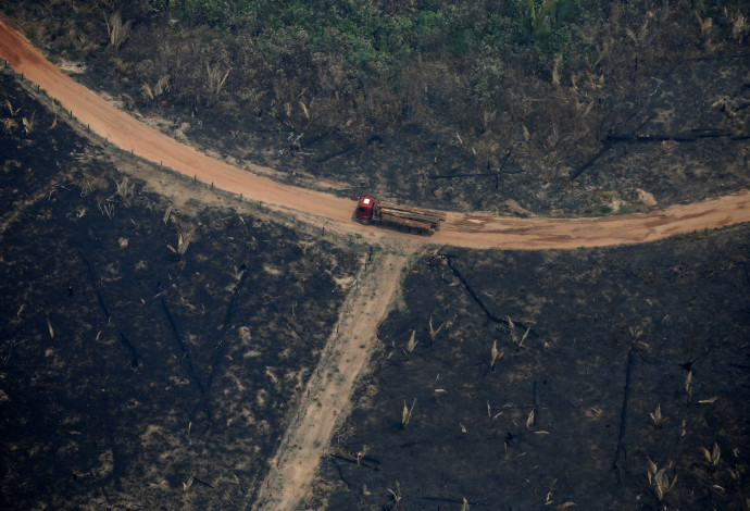 השריפה באמזונס (צילום:  רויטרס)