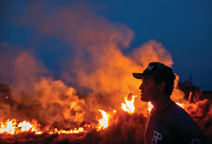 השריפה באמזונס (צילום:  JOAO LAET\AFP\Getty Images)