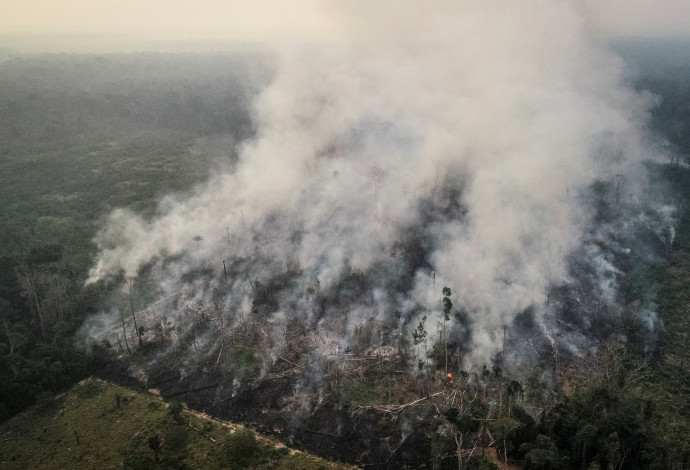 השריפה ביערות הגשם באמזונס (צילום:  רויטרס)