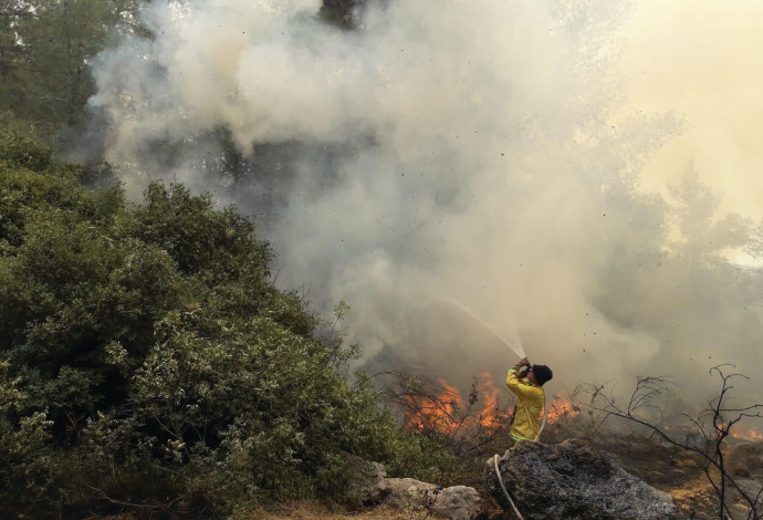 שריפת יער מטע  (צילום:  כבאות והצלה ירושלים)