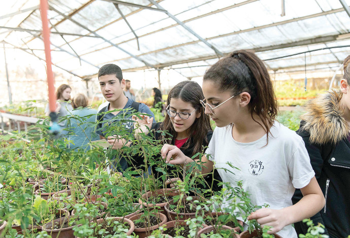 לימודי רפואת צמחי מרפא בויצו גם ונוף (צילום:  דין אהרוני רולנד)