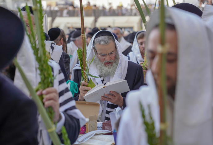 תפילת חג הסוכות בכותל המערבי (צילום:  הלל מאיר/TPS)