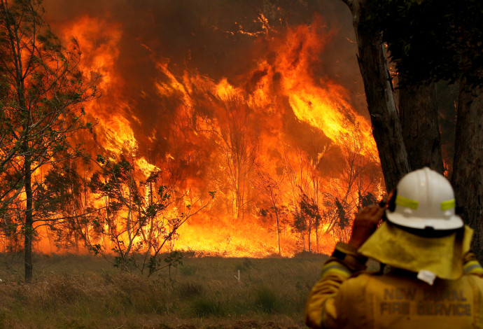 שריפה באוסטרליה (צילום:  רויטרס)