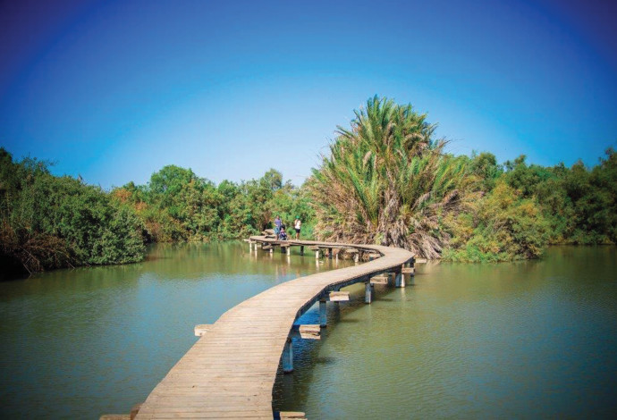 גן לאומי עין אפק (צילום:  מנו גרינשפן)