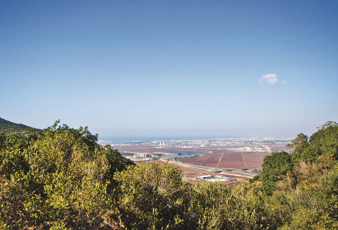 נחל יגור (צילום:  הדר יהב)