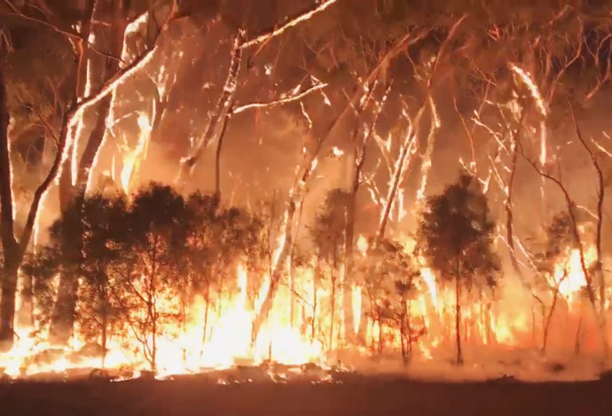 שריפות בדרום מזרח אוסטרליה (צילום:  רויטרס)
