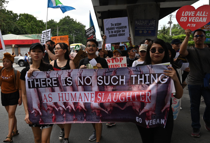 הפגנה נגד אכזריות כלפי בעלי חיים (צילום:  TED ALJIB/Getty Images)