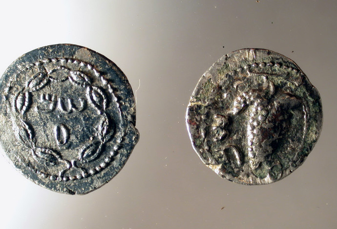 מטבעות עתיקים שימשו השראה ללוגו האזורי (צילום:  בועז זיסו)