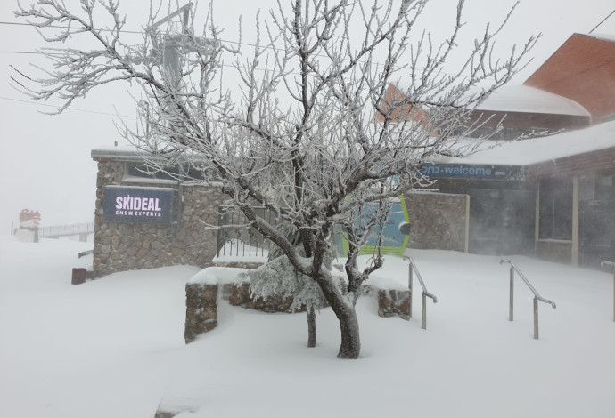 שלג בהר חרמון (צילום:  אתר החרמון)